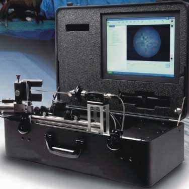 tÃȸQR|yԇϵyEndobench